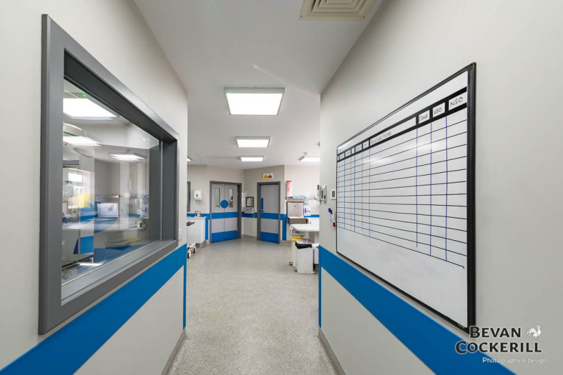 Eastfield Veterinary Hospital, Grimsby 360 virtual tour & photos Bevan Cockerill Photography