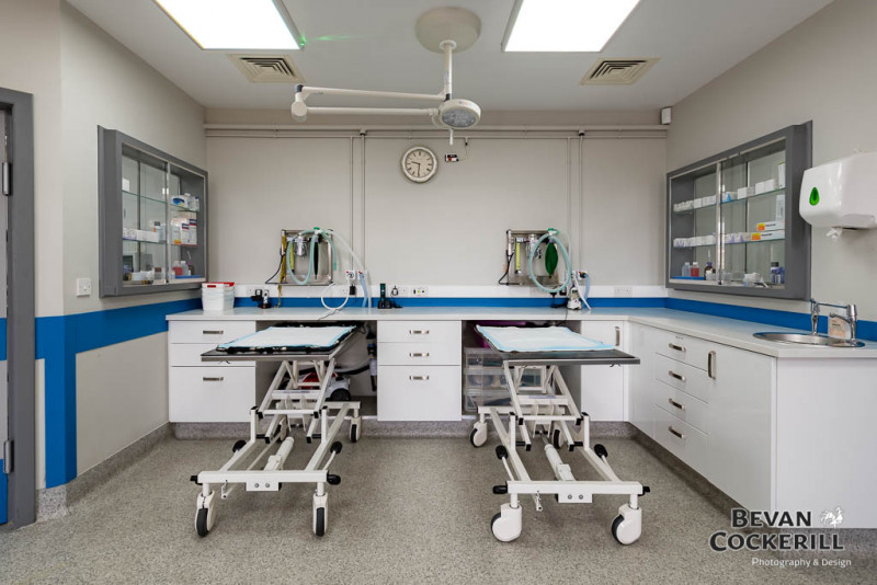 Eastfield Veterinary Hospital, Grimsby 360 virtual tour & photos Bevan Cockerill Photography