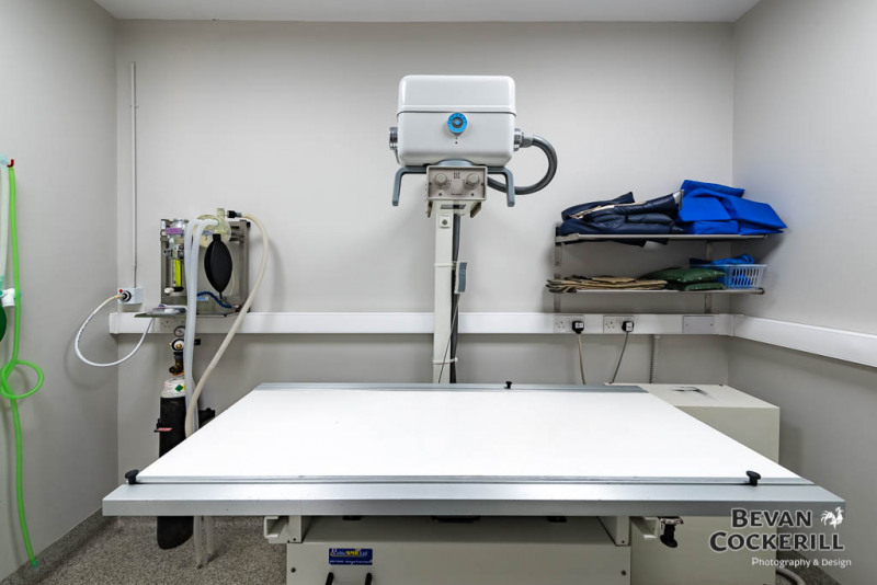 Eastfield Veterinary Hospital, Grimsby 360 virtual tour & photos Bevan Cockerill Photography