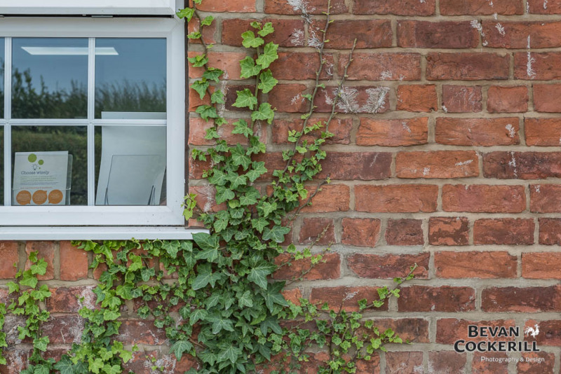 Eastfield Veterinary Hospital, Grimsby 360 virtual tour & photos Bevan Cockerill Photography